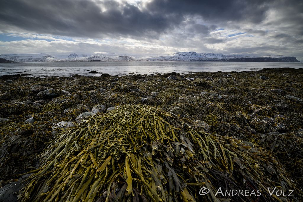 Landschaft3417-stack.jpg